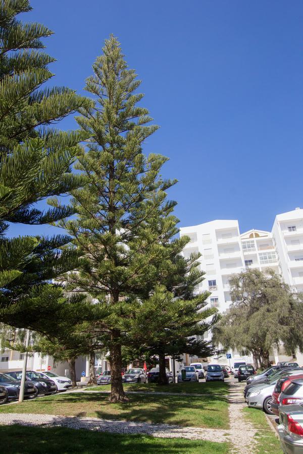 Casa Da Praia Apartment Lagos Exterior photo